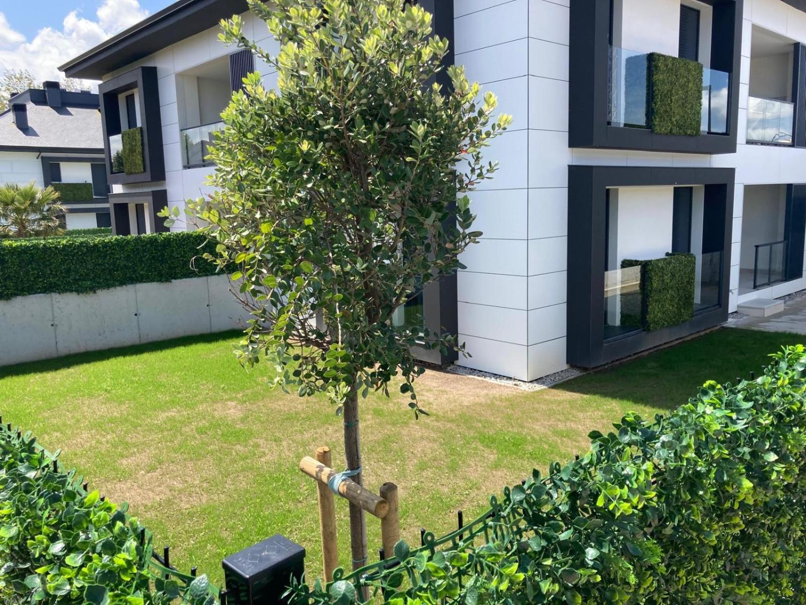 Apartamento Con Jardin Long Beach Loredo Extérieur photo